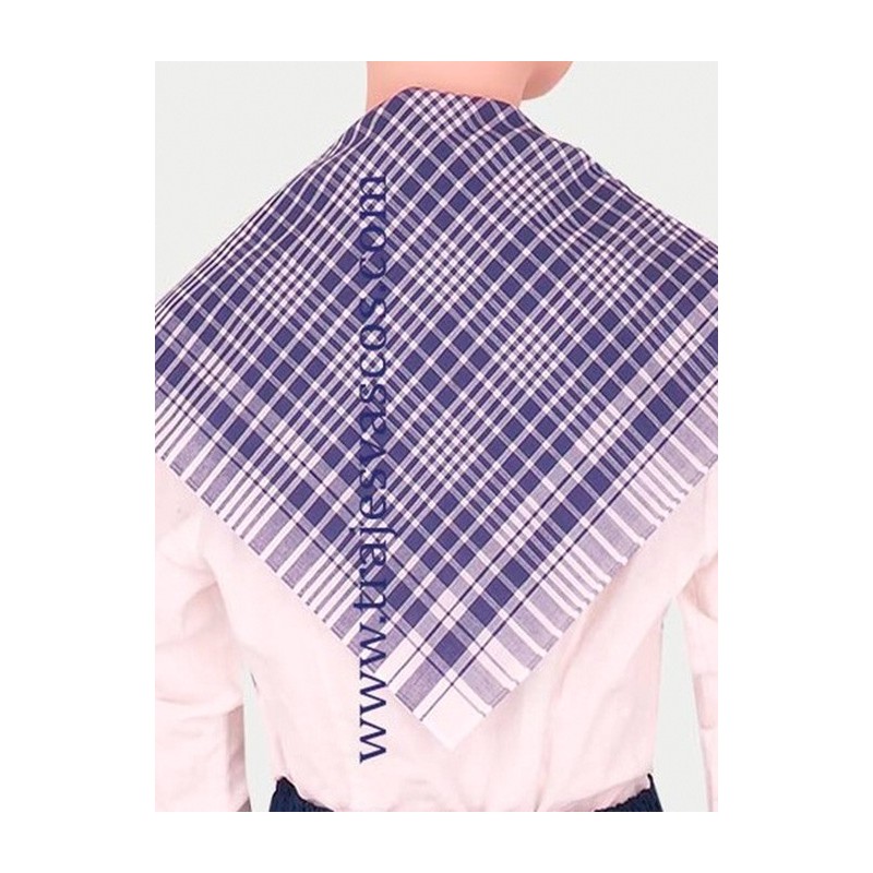 Pañuelo de cuadros azul tradicional vasco A146