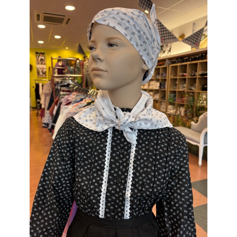 Traje tradicional País Vasco A25